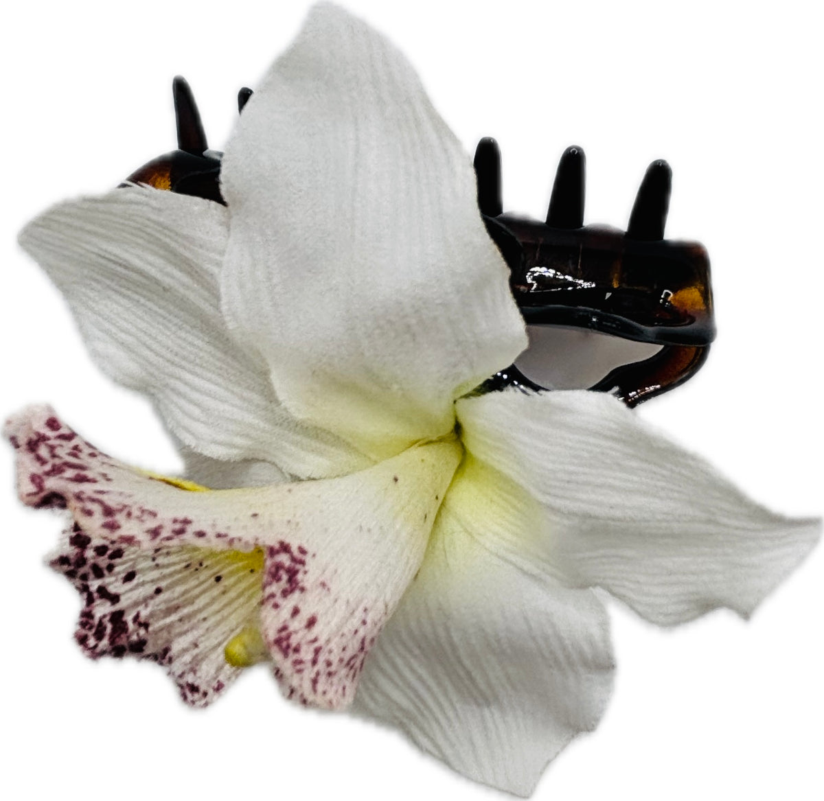 Chloe White Tropical Flower Tortoise Claw Clip, 4"