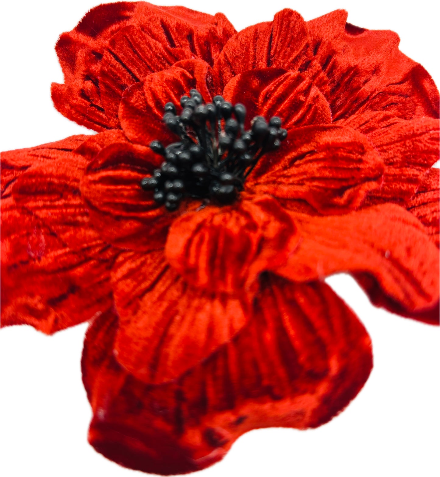 Burgundy Velvet Flower Pin & Clip with Black Seeds, 4"