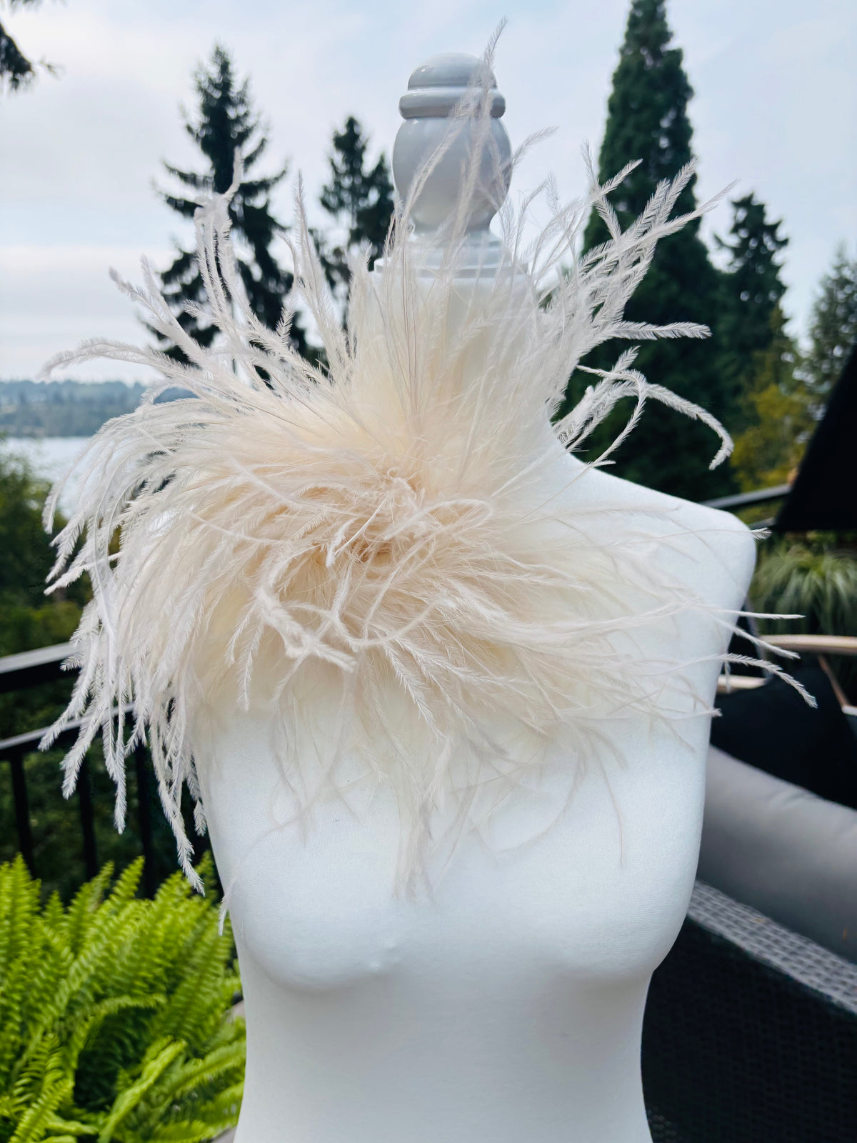 Dietrich Grand Ivory Ostrich Pin & Clip