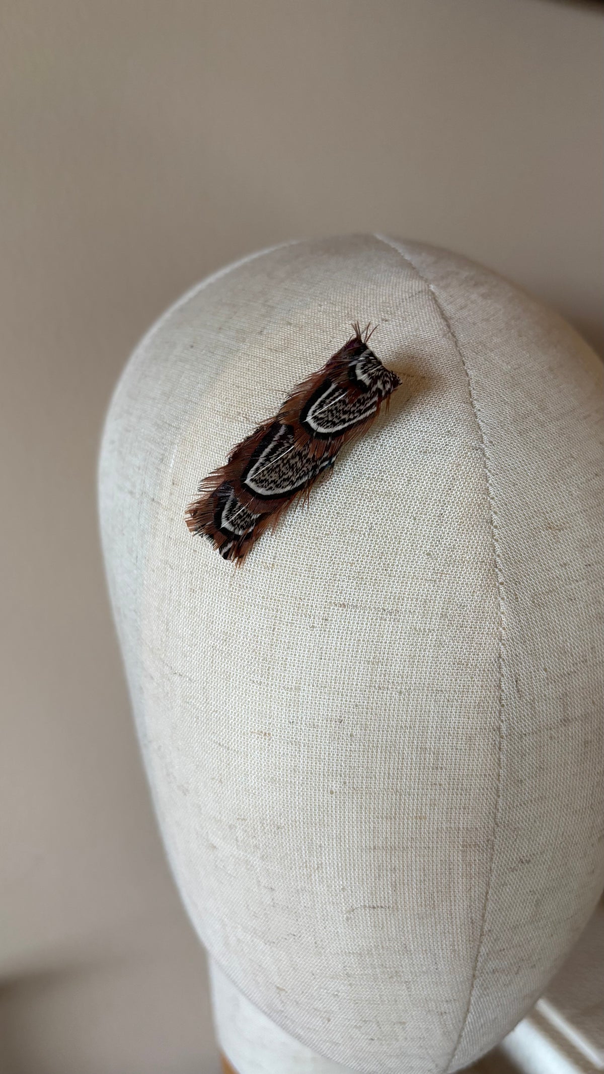 Giselle Brown & Ivory Feather Clip