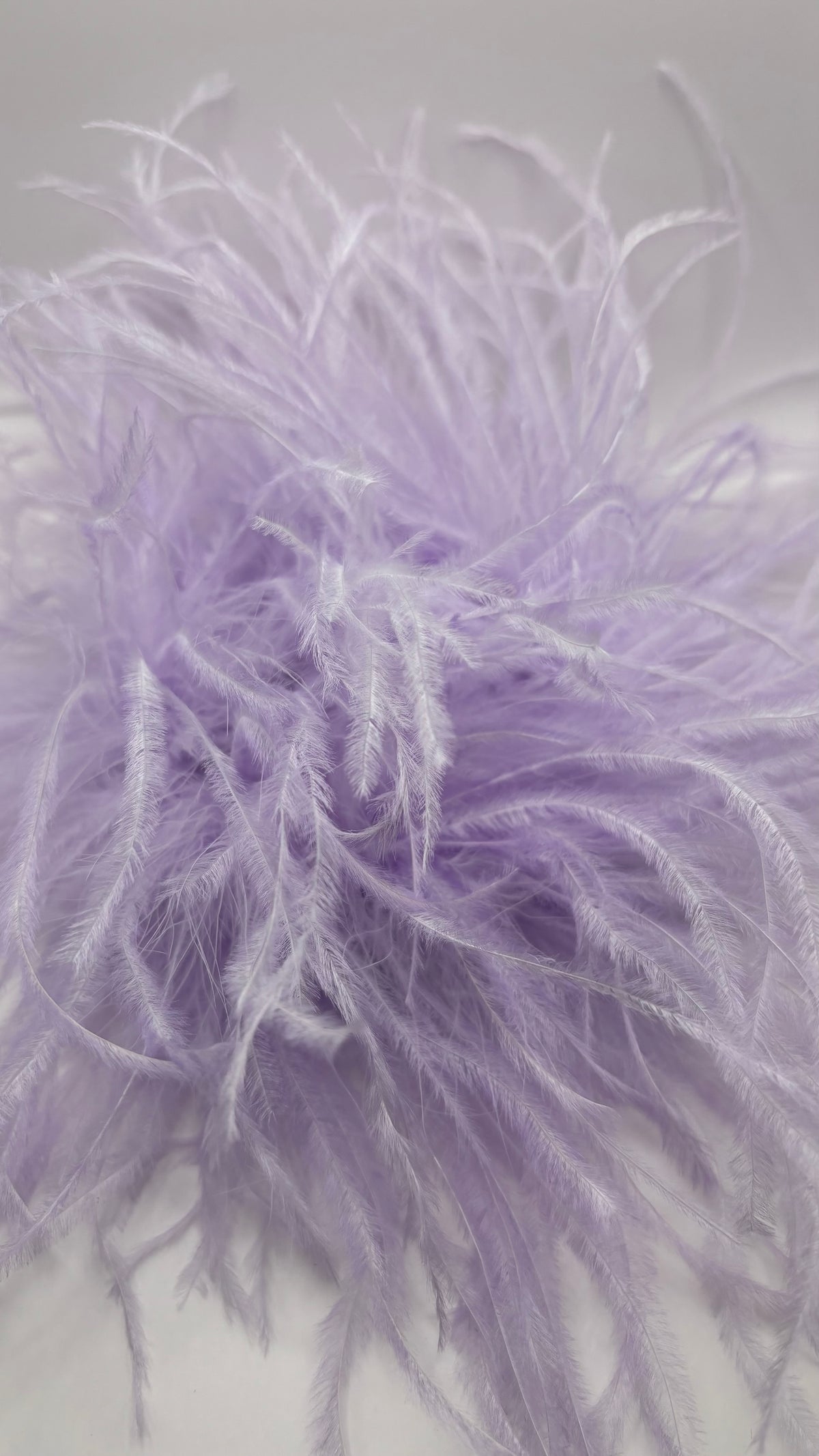 Dietrich Grand Lavender Ostrich Pin & Clip