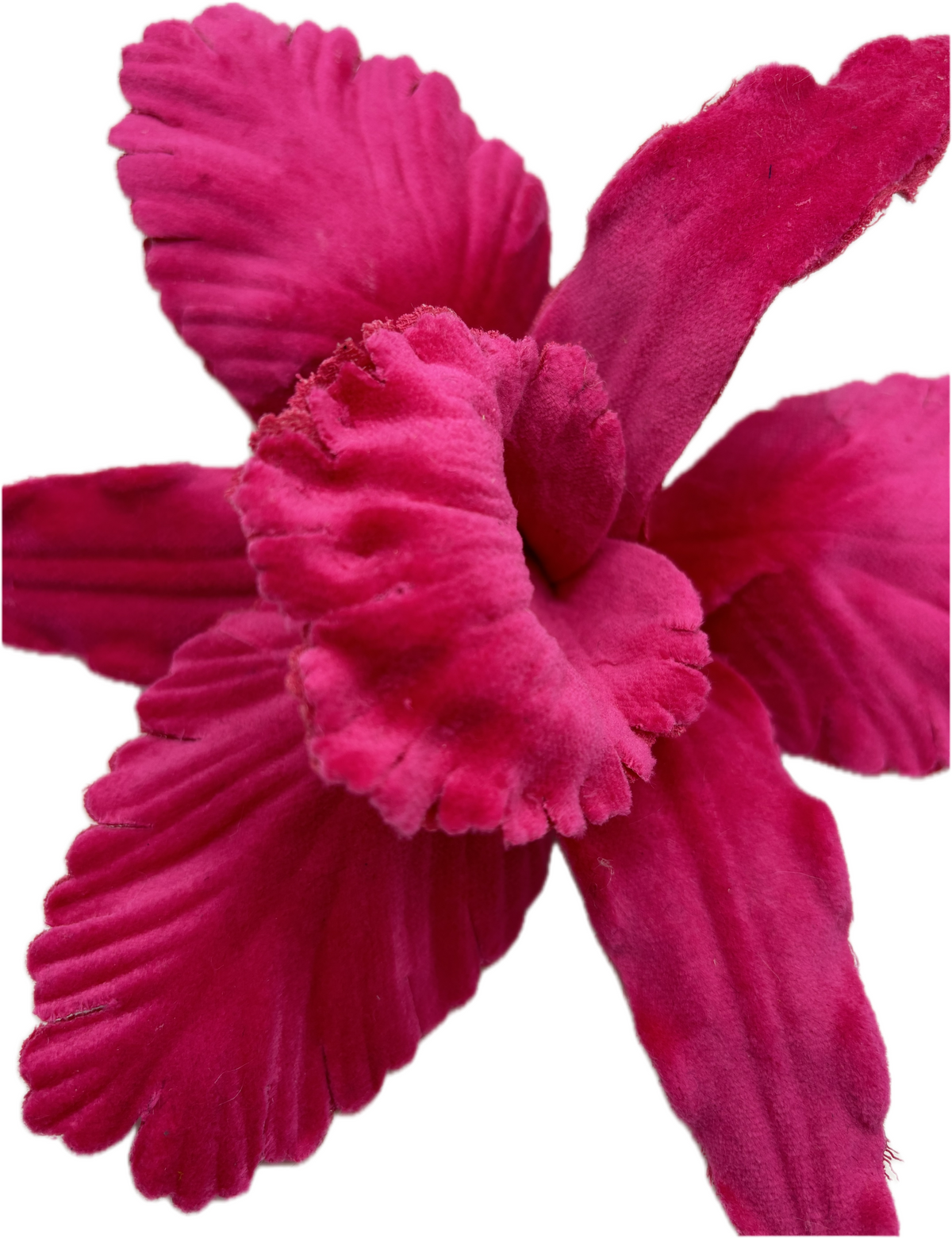 Diva Pink Velveteen Orchid Pin & Clip, 7"
