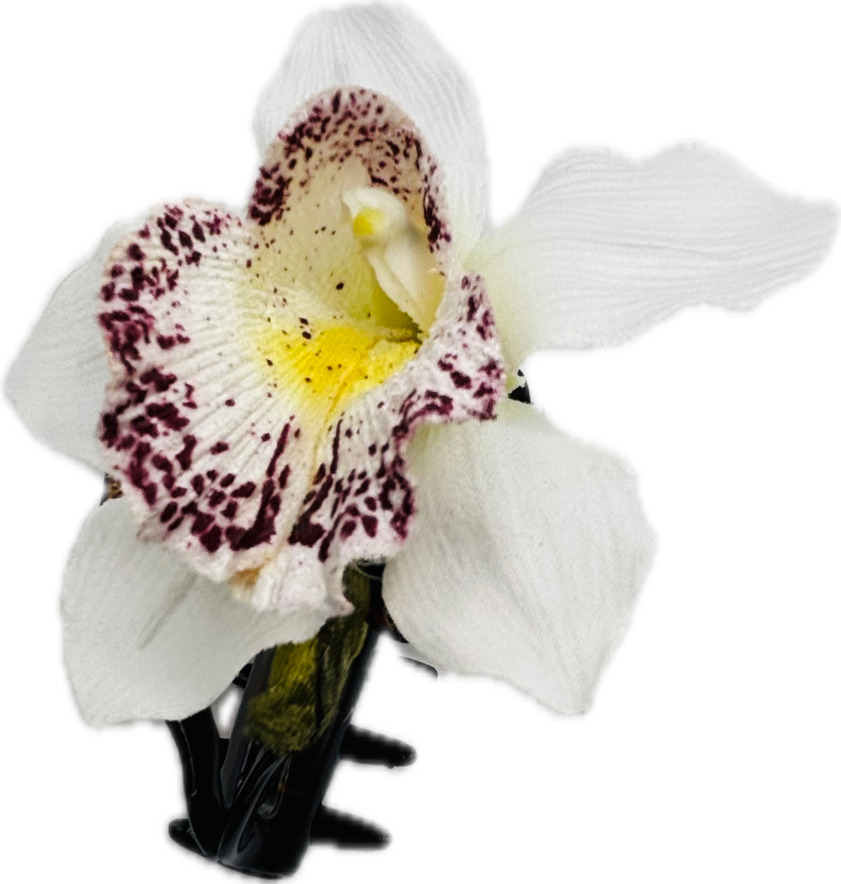 Chloe White Tropical Flower Tortoise Claw Clip, 4"