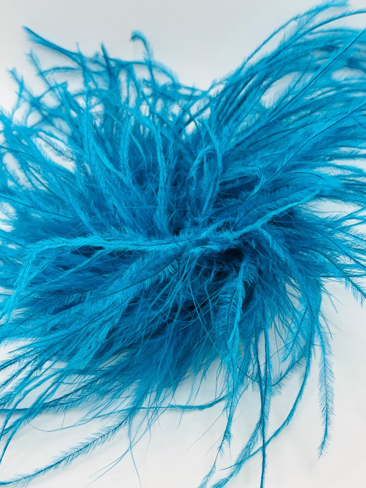 Dietrich Petite Teal Ostrich Pin & Clip – Handmade