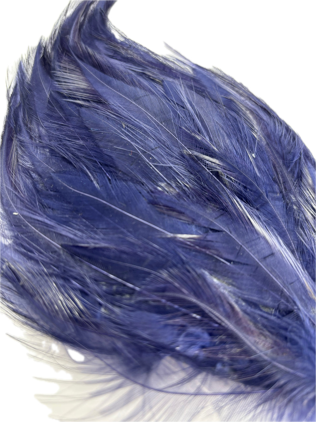 Garbo Navy Blue Feather Pin & Clip, 4"