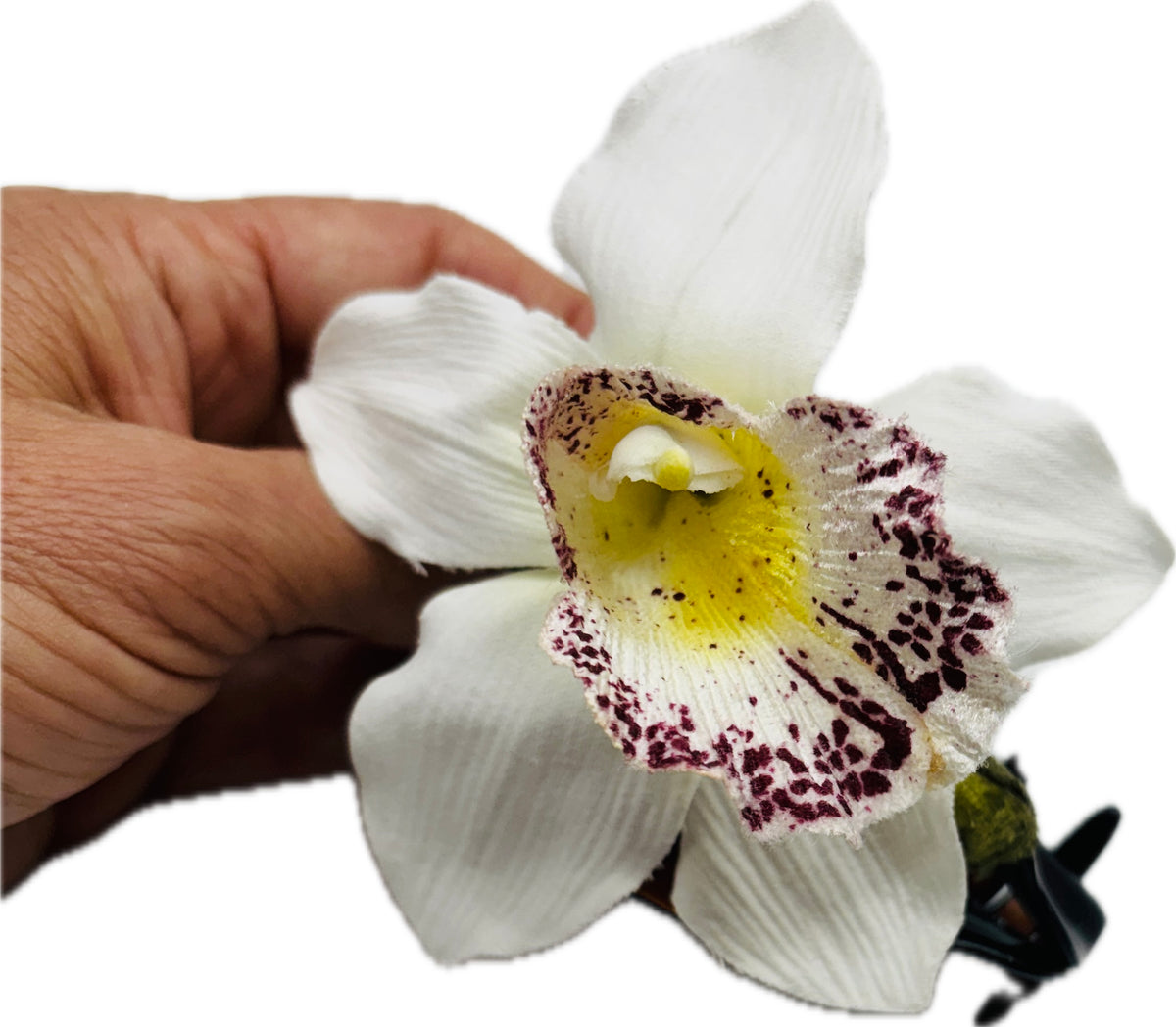 Chloe White Tropical Flower Tortoise Claw Clip, 4"