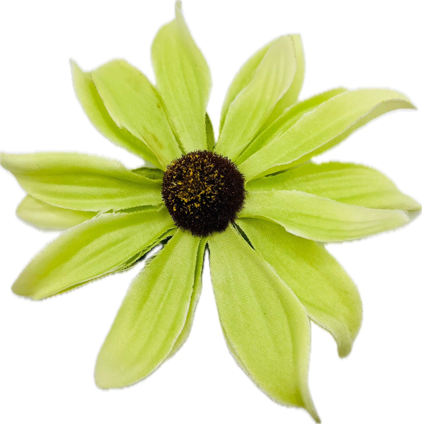 Maryland Mint Green Black-Eyed Susan Brooch & Clip, 3.5"