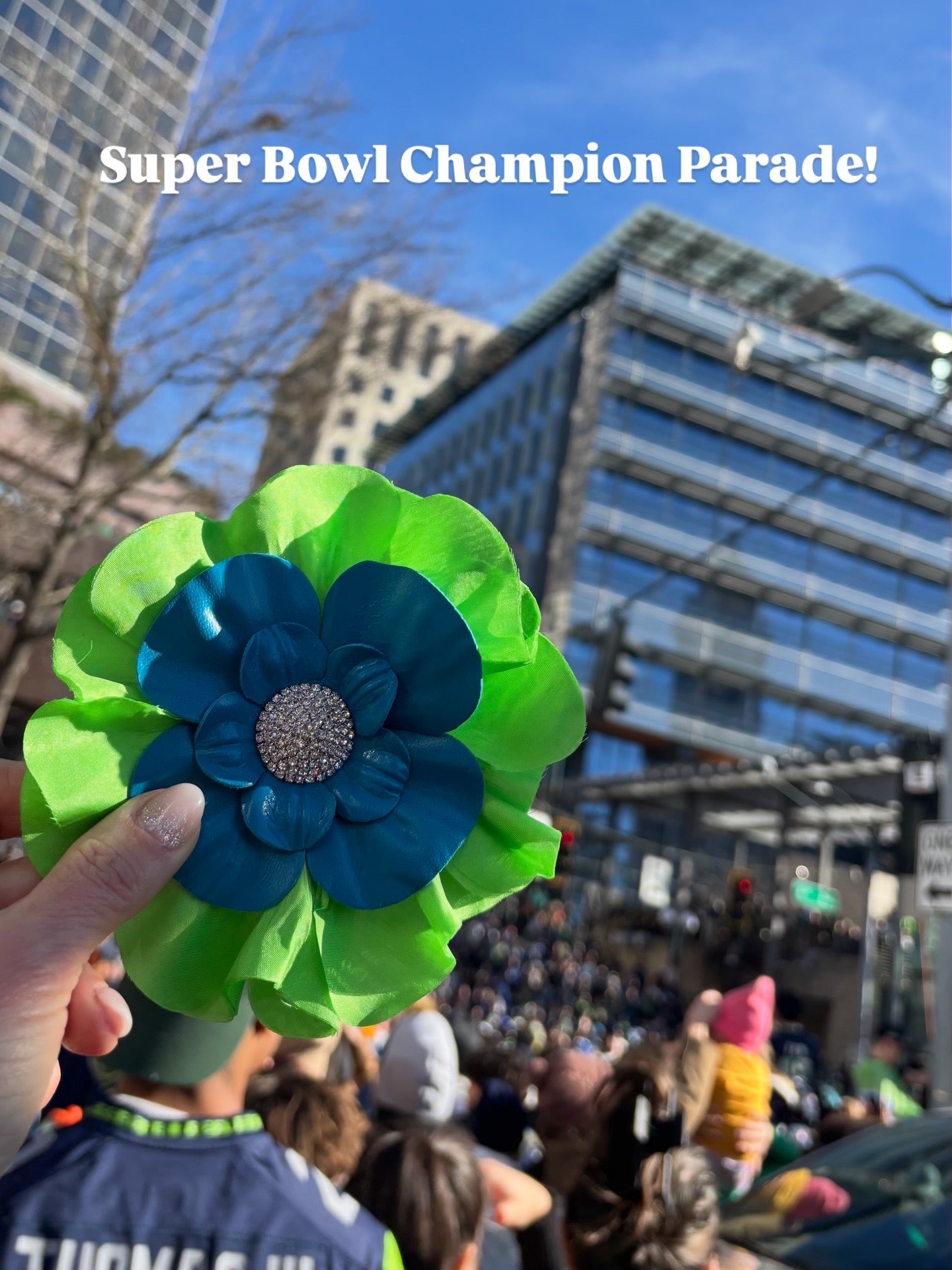 "Seattle SEAHAWKS" Lime Silk and Blue Leather Silk Poppy Crystal Brooch and Clip: Bendable Petals. Wear on jersey, in hair, on handbag and more
