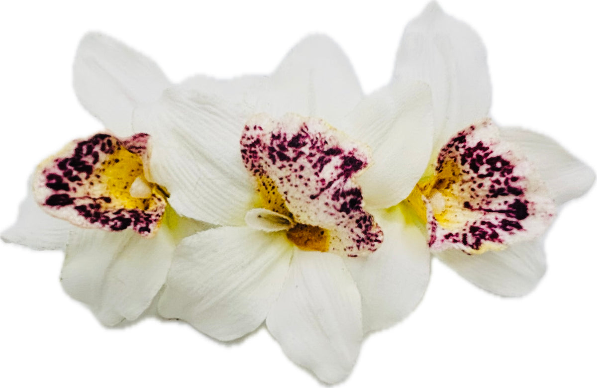 Margaret White Mini Vanda Orchids French Barrette