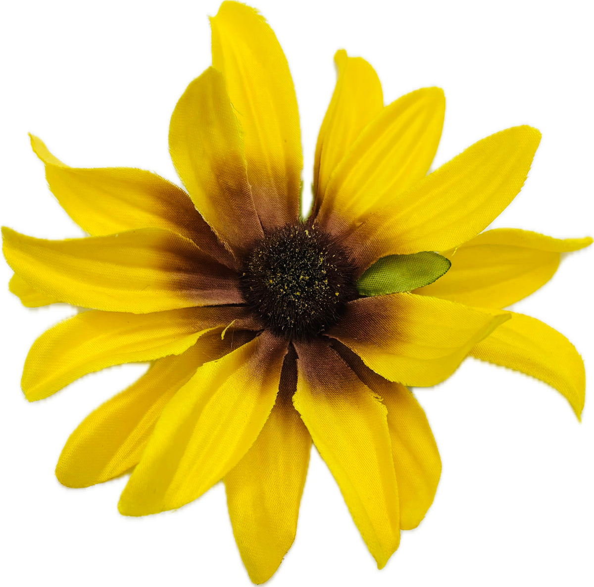 Maryland Yellow Black-Eyed Susan Brooch & Clip, 3.5"