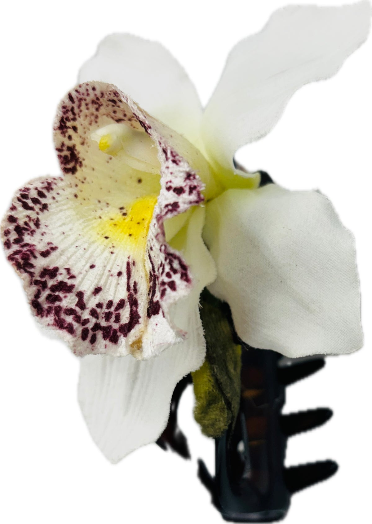 Chloe White Tropical Flower Tortoise Claw Clip, 4"