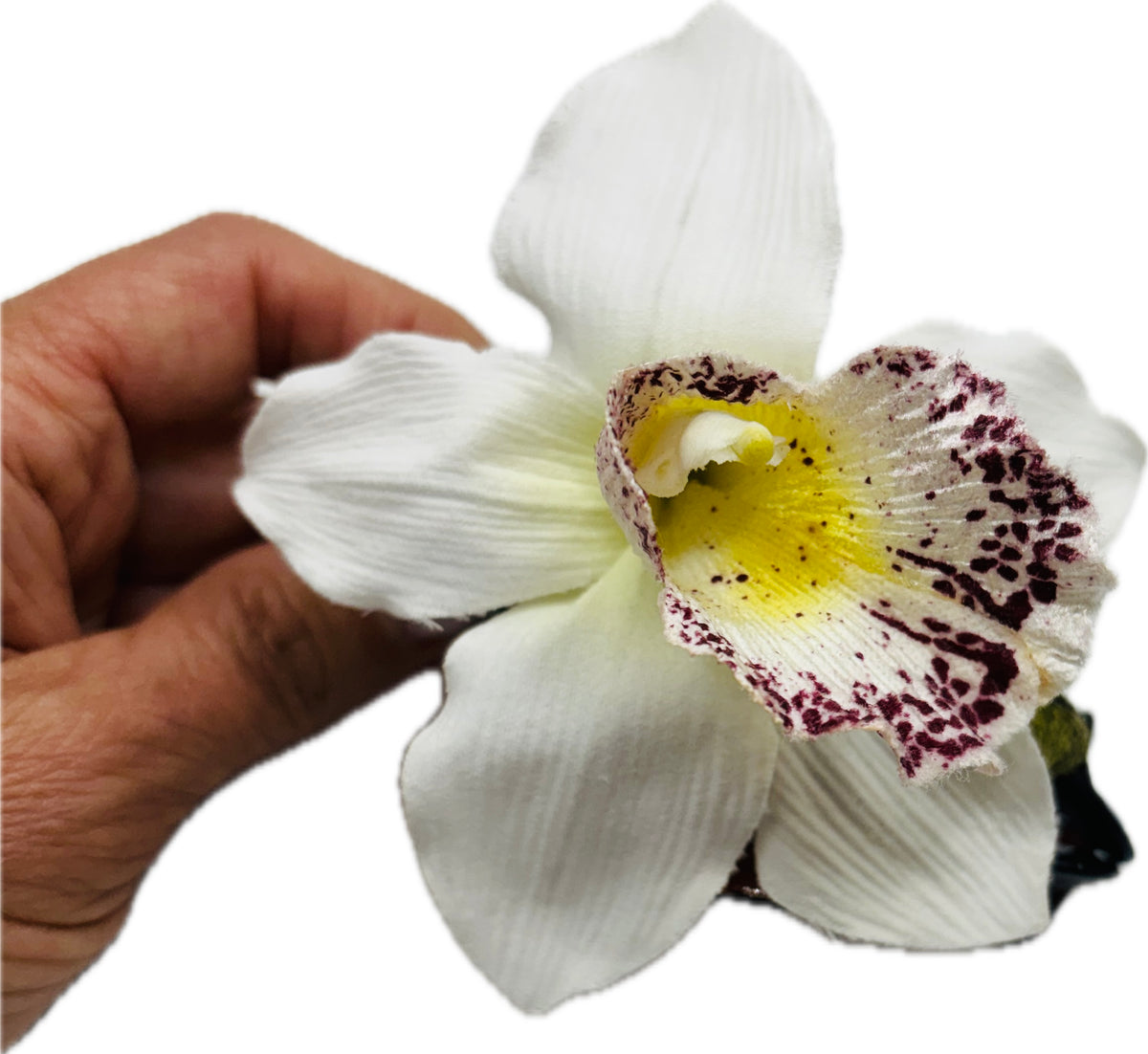 Chloe White Tropical Flower Tortoise Claw Clip, 4"