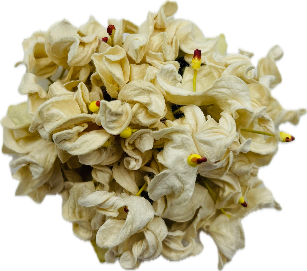 Esme Ivory Vintage Hydrangea Pin & Clip, 4"