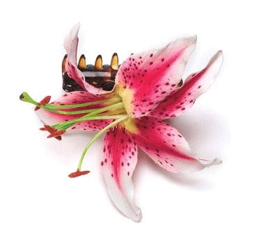 Karin's Garden Martha 2 1/2" Fuchsia Tiger Lily Petite French Jaw Clip. Made in the USA