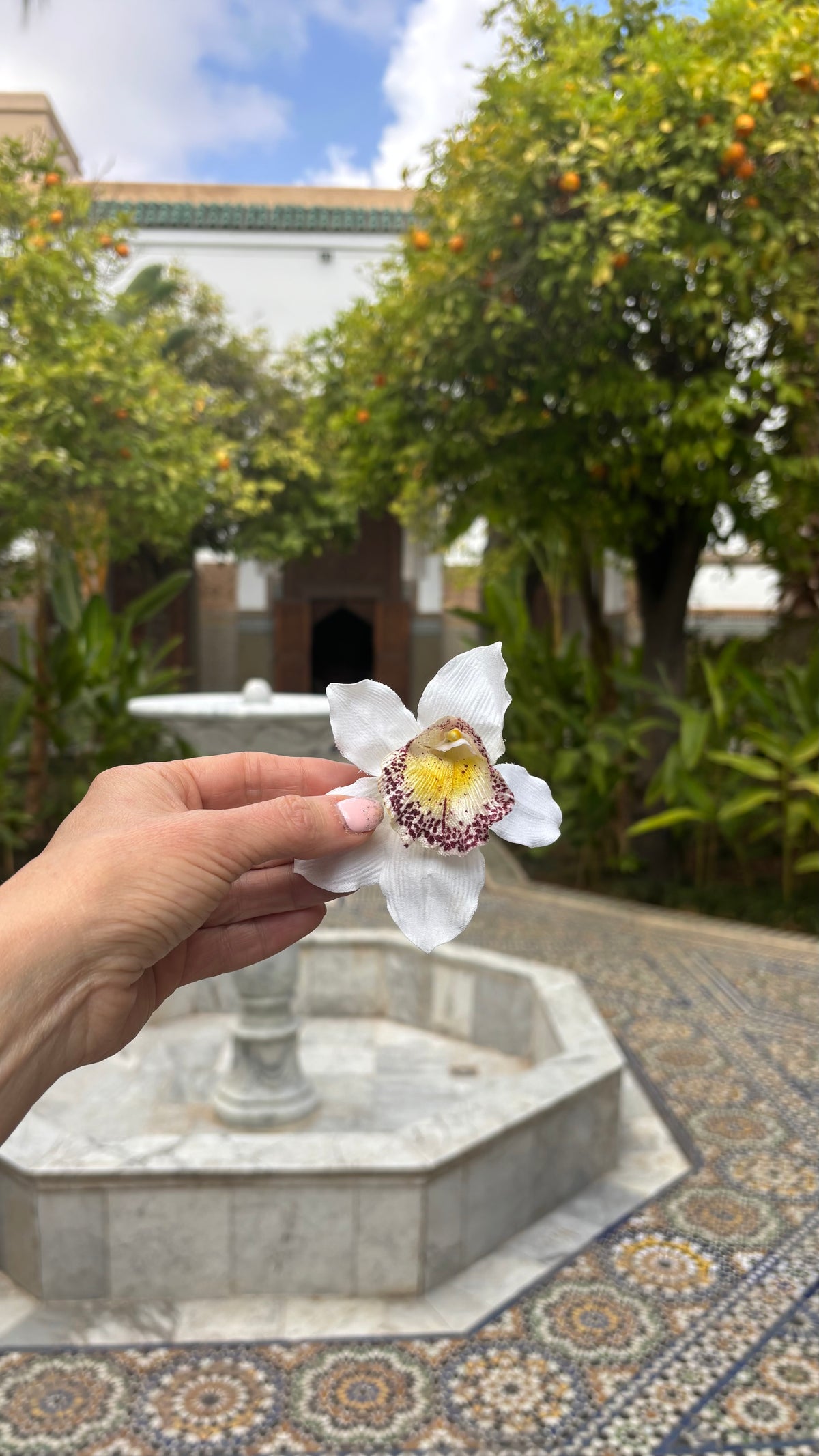 Chloe White Vanda Orchid Pinch Clip, 3.5"
