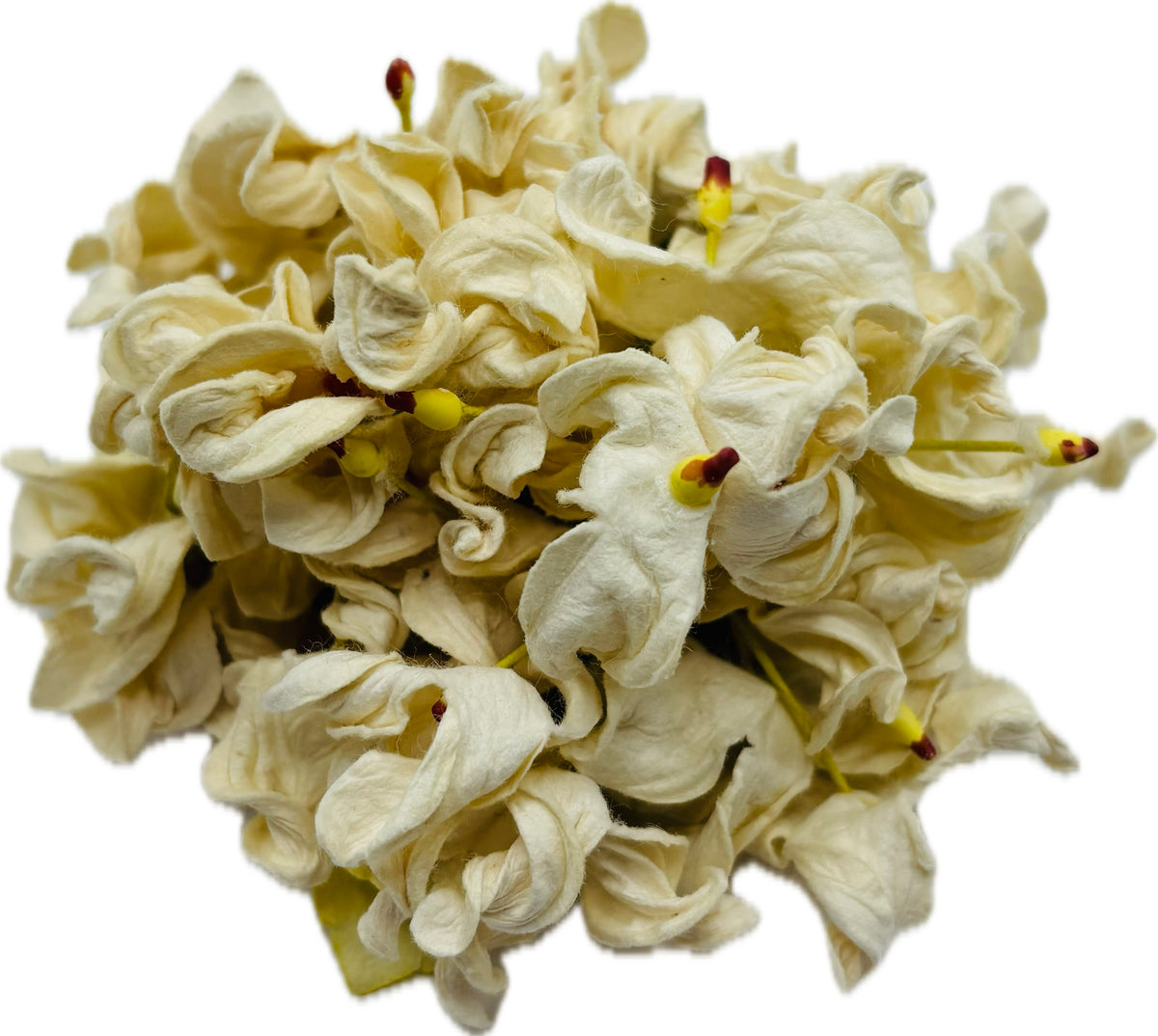 Esme Ivory Vintage Hydrangea Pin & Clip, 4"