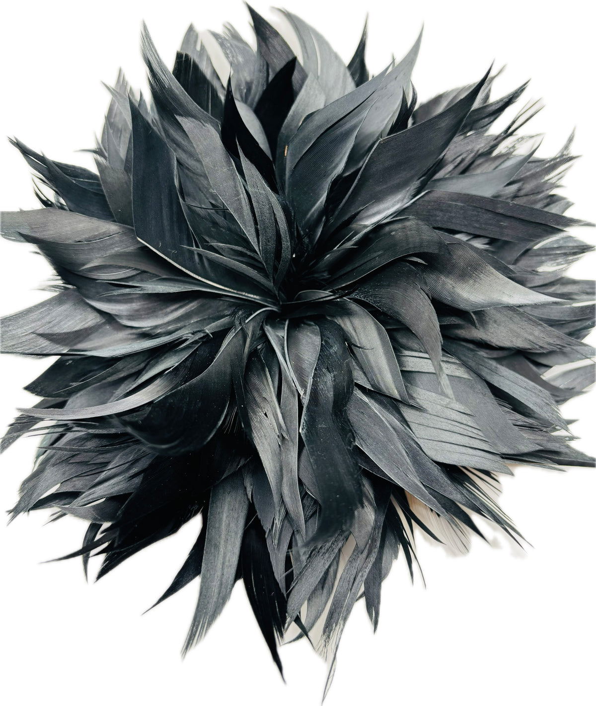 Josephine Black Feather Brooch & Clip, 5"