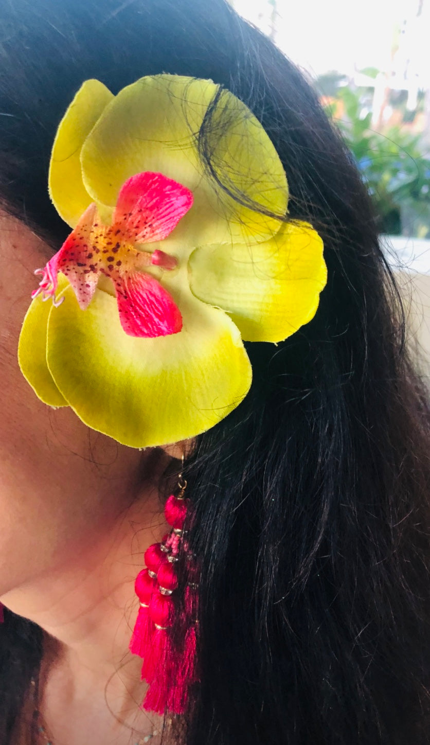 Stella Lime Phalaenopsis Orchid Clip, 3 1/2" – Cosmopolitan