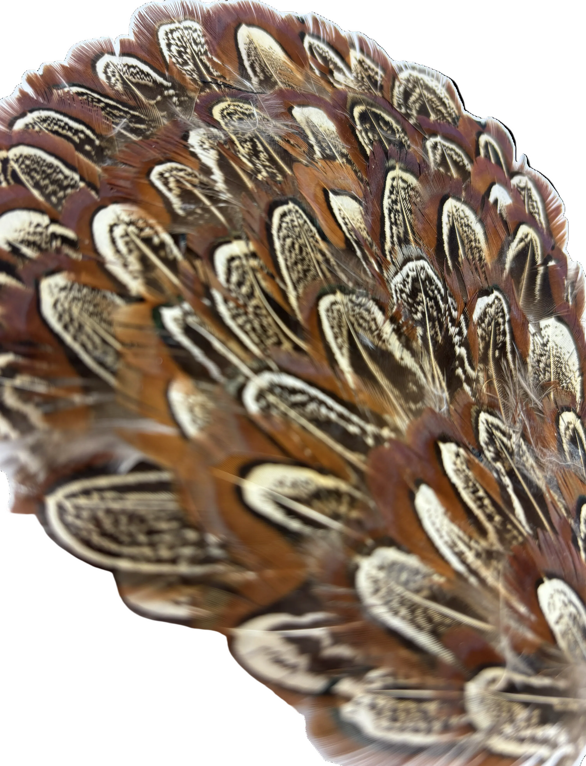 Garbo Feather Couture Headband in Multi Brown Tan Ivory