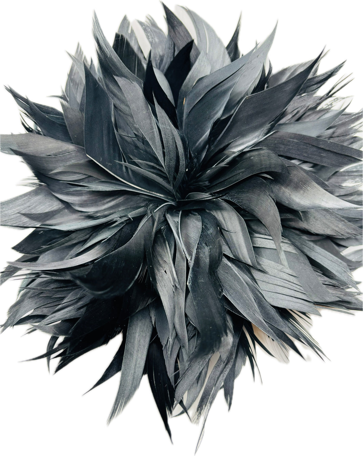 Josephine Black Feather Brooch & Clip, 5"
