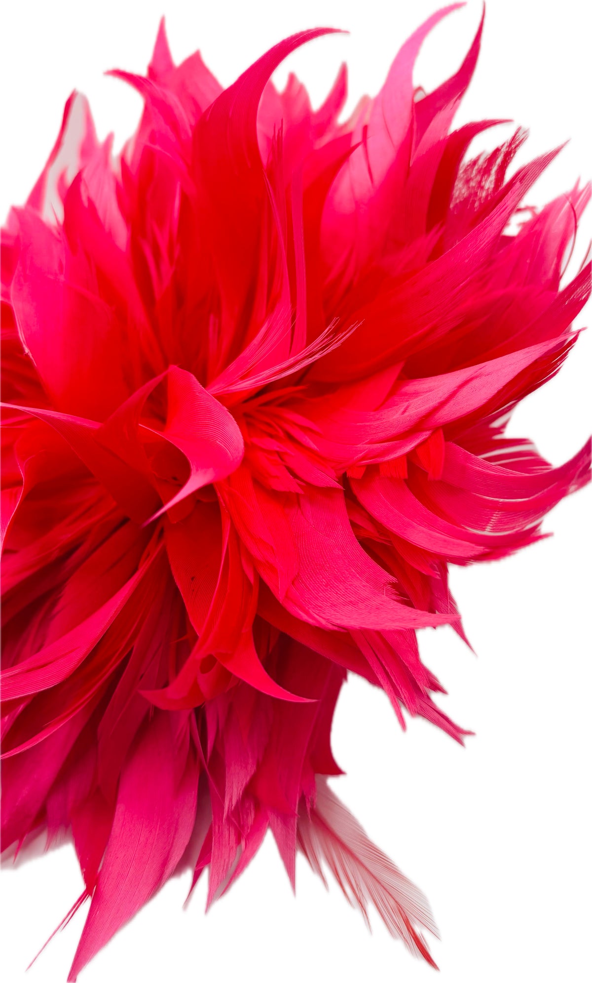 Josephine Pink Feather Brooch & Clip, 5"