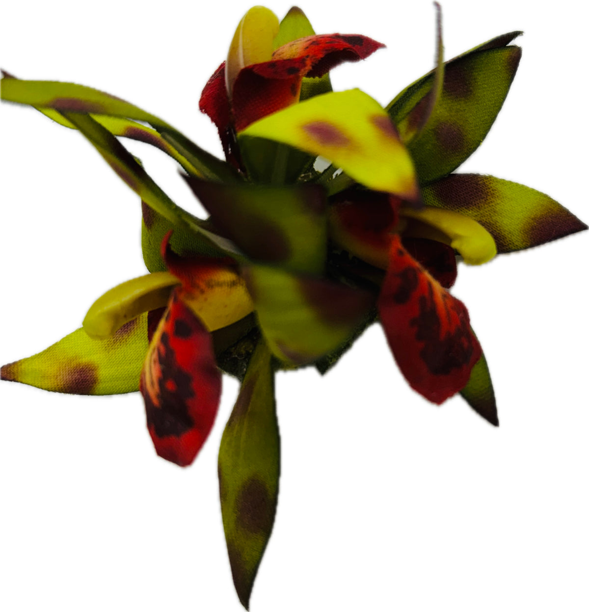 Isla Olive Green Mini Orchids Clip & Brooch