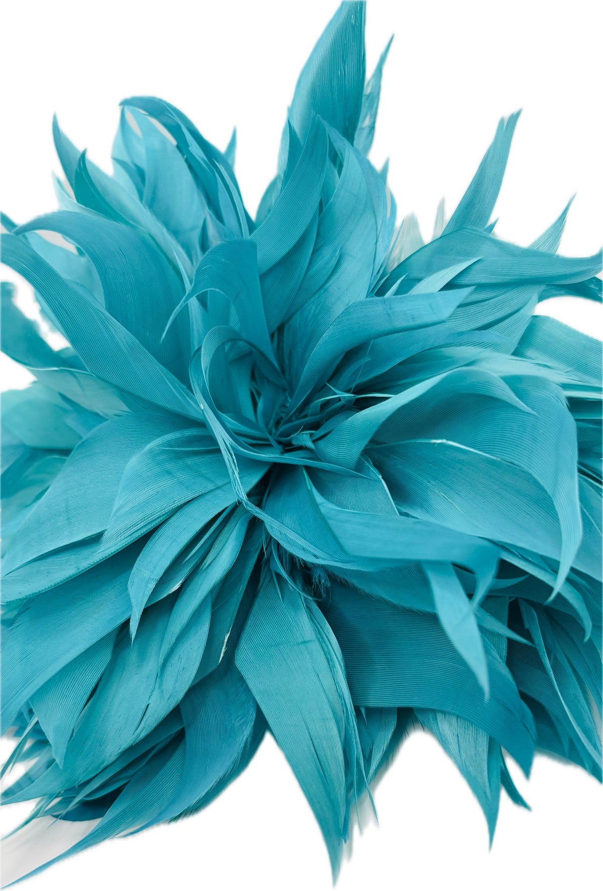 Josephine Aqua Feather Brooch & Clip, 5"