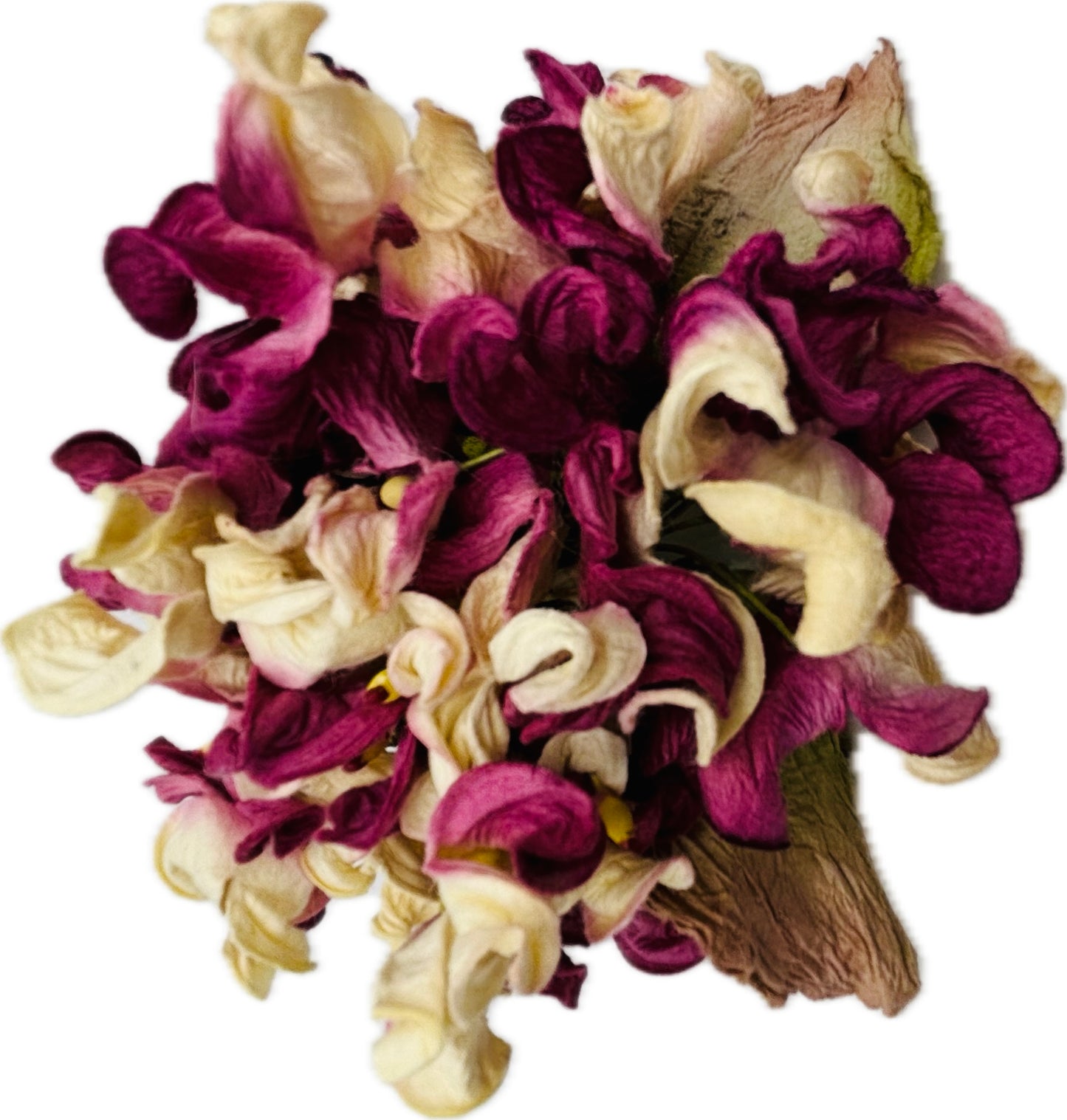 Esme Fuchsia Vintage Hydrangea Pin & Clip, 4"