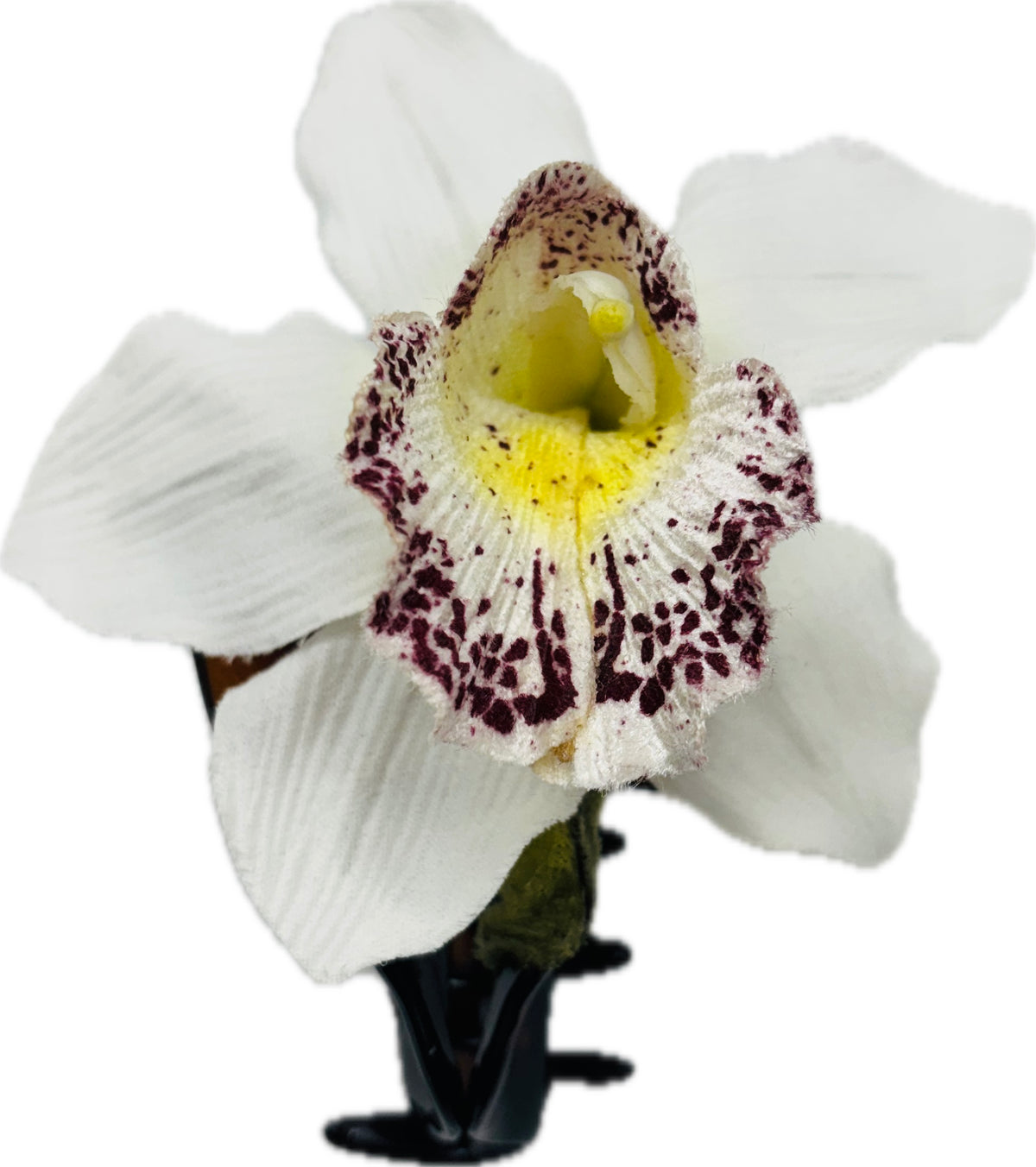 Chloe White Tropical Flower Tortoise Claw Clip, 4"