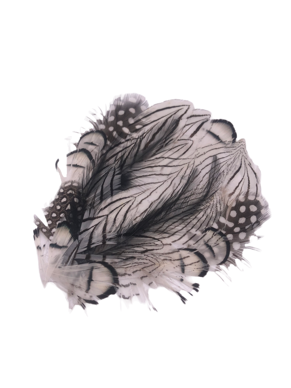 Garbo Black & White Feather Pin & Clip, 4"