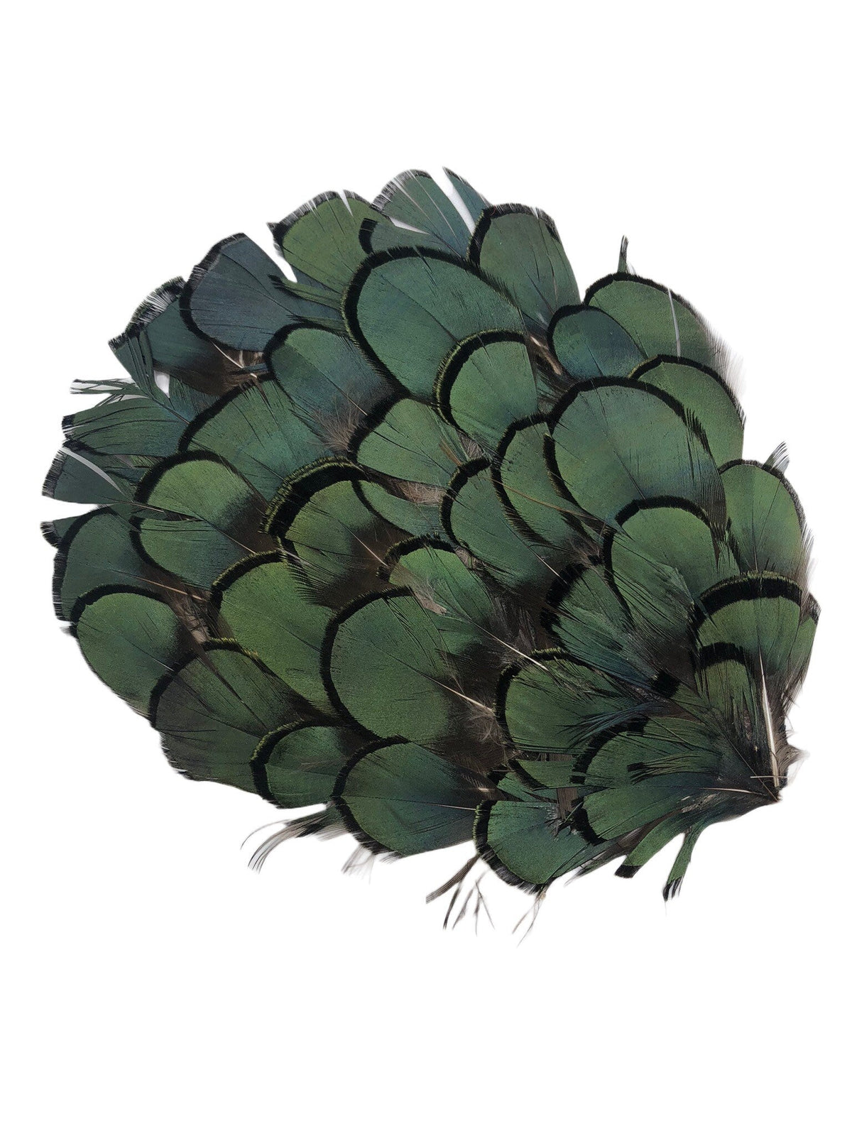 Garbo Green & Black Feather Pin & Clip, 4"