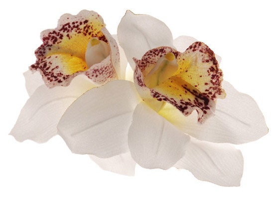 Chloe White Vanda Orchid French Barrette, 5"