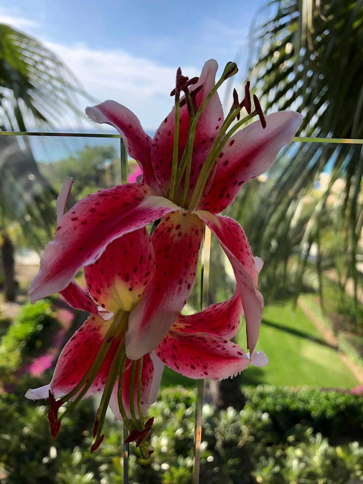 Martha Fuchsia Tiger Lily French Auto Barrette