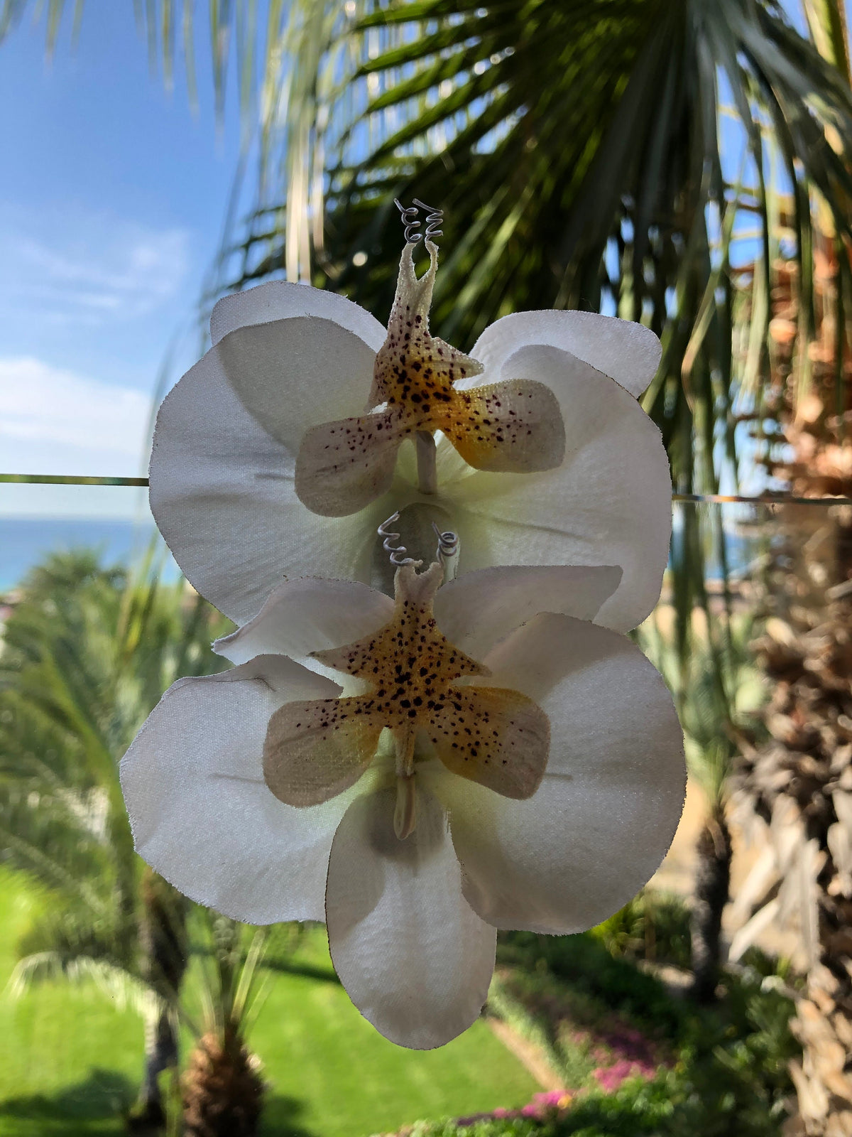 Stella Lime Phalaenopsis Orchid French Barrette