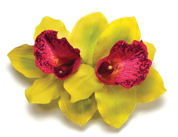 Chloe Lime Vanda Orchid French Barrette, 5"