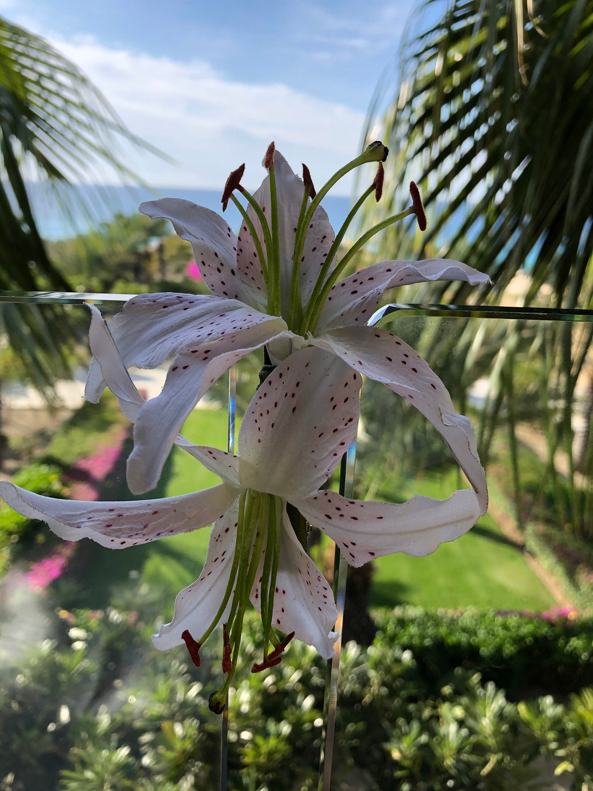 Martha White Tiger Lily French Auto Barrette, 3"