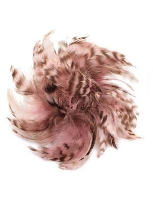 Lana Pink Feather Pin & Clip