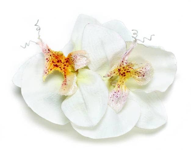 Stella White Phalaenopsis Orchid French Barrette