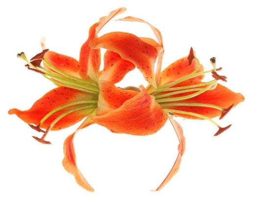 Karin's Garden - Made in the USA - Life like lilies - Tropical Tiger Lily Hair Clip -  French Auto Barrette