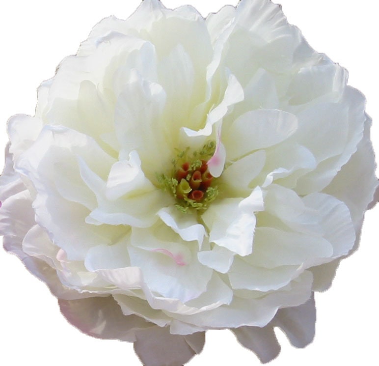 The Adele White Peony Pin-Clip Duo, 7"