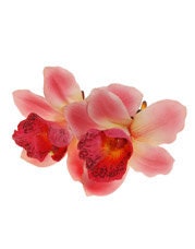 Chloe Pink Vanda Orchid French Claw Clip, 4"
