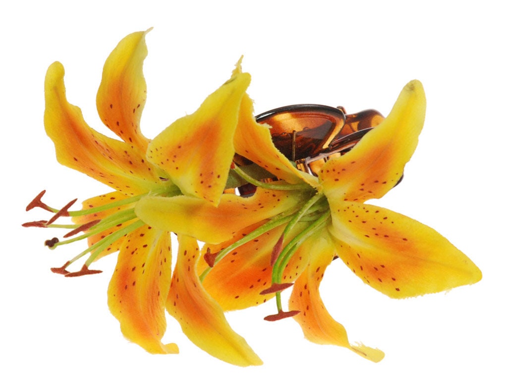 tiger lily hair accessories Karin's Garden Martha 4" Yellow Tiger Lily French Jaw Clip. Hair Clip. Flower Hair Accessory. Made in the USA. Lifelike Lilies