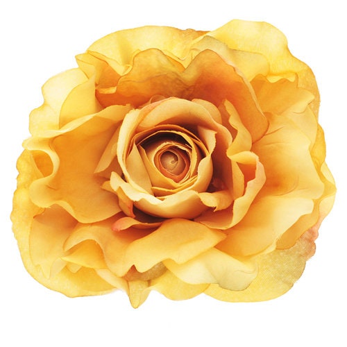 Trudy Gold Rose Brooch & Clip, 5"