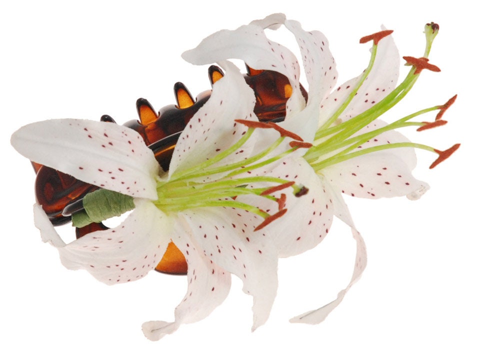white lily flower hair clip Karin's Garden Martha 4" White Tiger Lily French Jaw Clip. Hair Clip. Flower Hair Accessory. Made in the USA. Lifelike Lilies