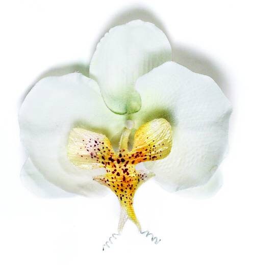 Karin's Garden 3.5" White Phalaenopsis Orchid Clip.  Dedicated to my dear friend Marie. As Seen In: Cosmopolitan Magazine