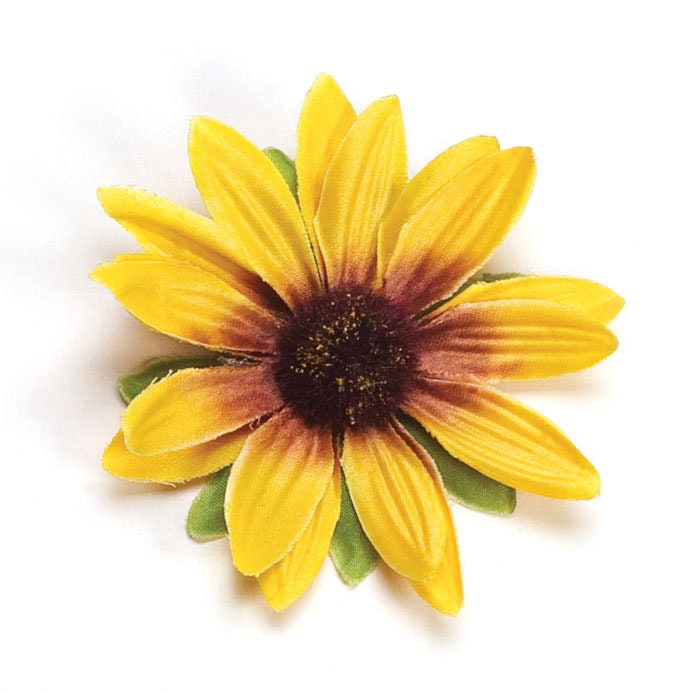 Maryland Yellow Black-Eyed Susan Pin & Clip, 2.5"