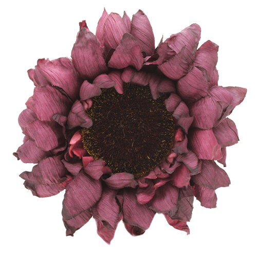 Plum Sunflower Pin Brooch & Clip, 4"