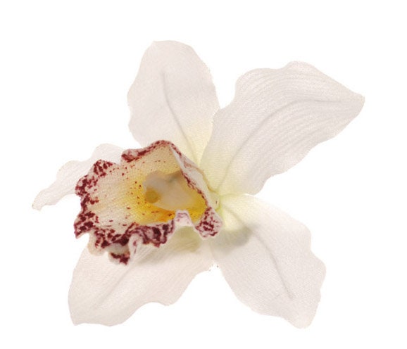 Chloe White Vanda Orchid Pinch Clip, 3.5"