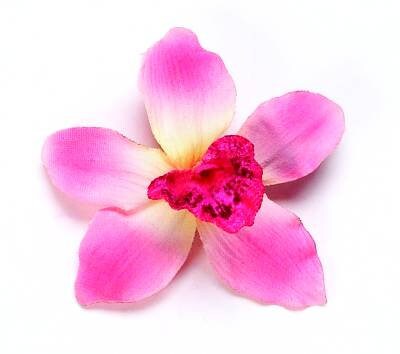 "Margaret" 2" Petite Lime Orchid Hair Elastic Life like orchids Handmade in the USA