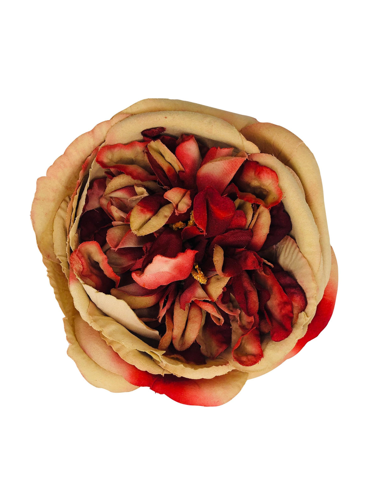 Elizabeth Red & Gold Antique Cabbage Rose Brooch & Clip, 4"